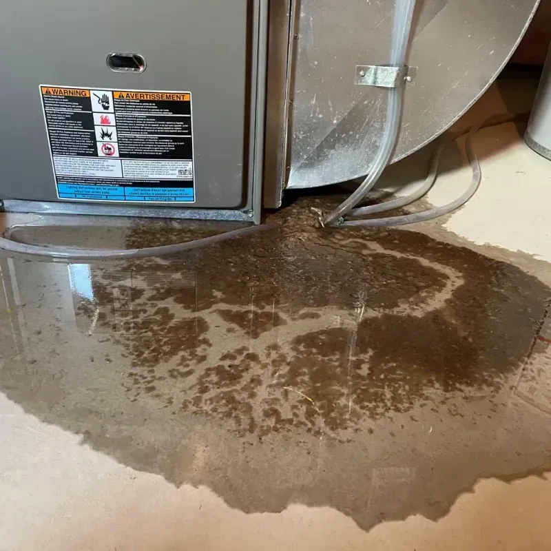 Appliance Leak Cleanup in Lopezville, TX